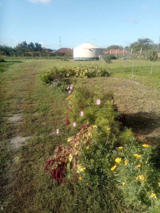 Hotel Jurtafarm Rackeve - A Nomad Luxus Extérieur photo